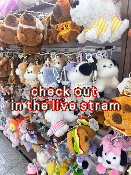 check out in live stream